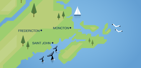 We've got New Brunswick covered!